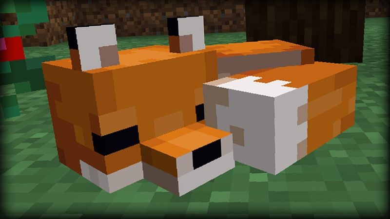 How To Build A Fox In Minecraft