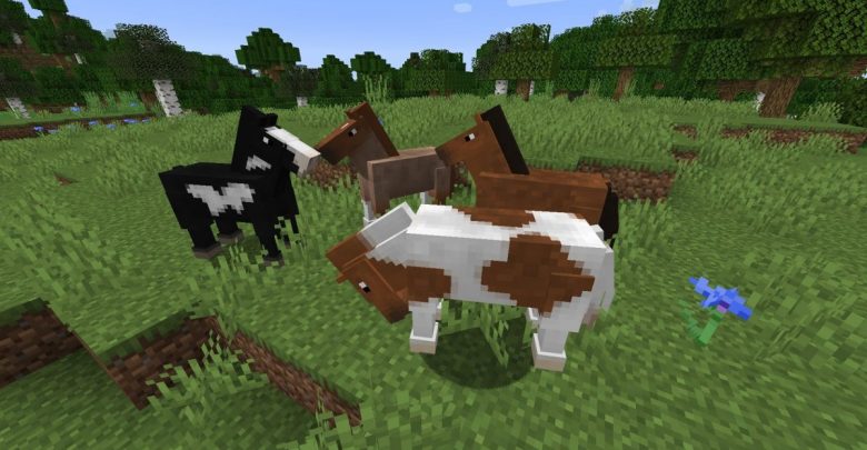 Breed Horses in Minecraft