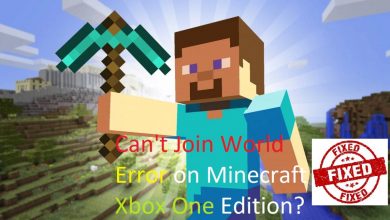 Can’t Join World Minecraft