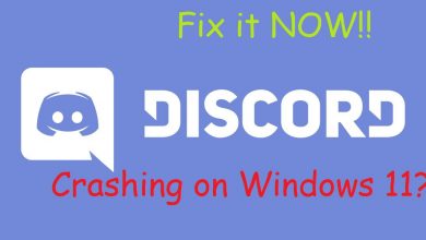 Discord Crashing Windows 11