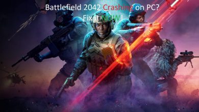 Battlefield 2042 Crashing PC