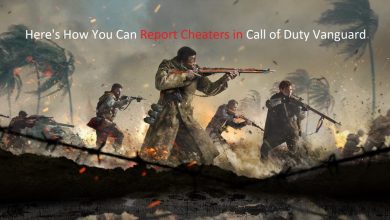 Cheaters Call of Duty