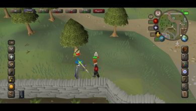 Old School RuneScape