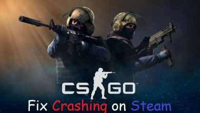 Counter Strike Crashing on Steam