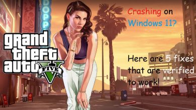 GTA V Crashing Windows