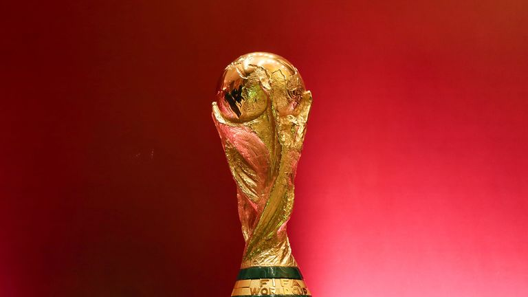 fifa world cup trophy