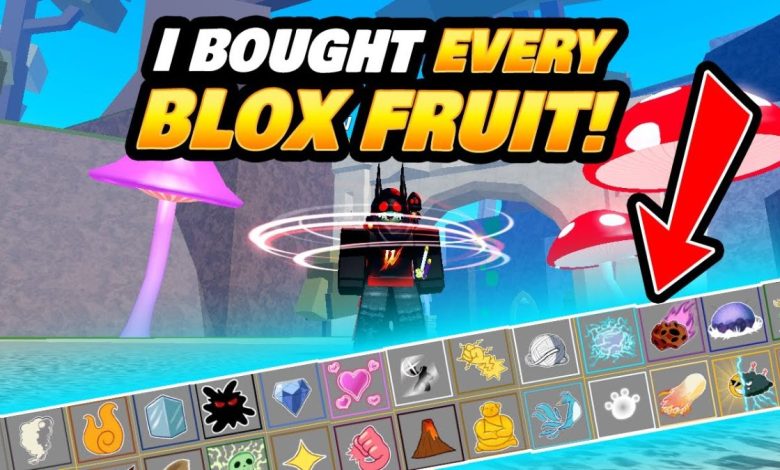 Roblox Blox Fruits - Gameplay, Graphics, Features, and More