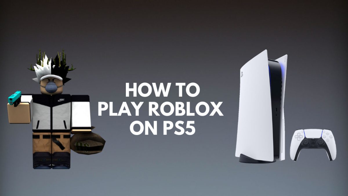 Roblox on the ps5. My thoughts : r/playstation